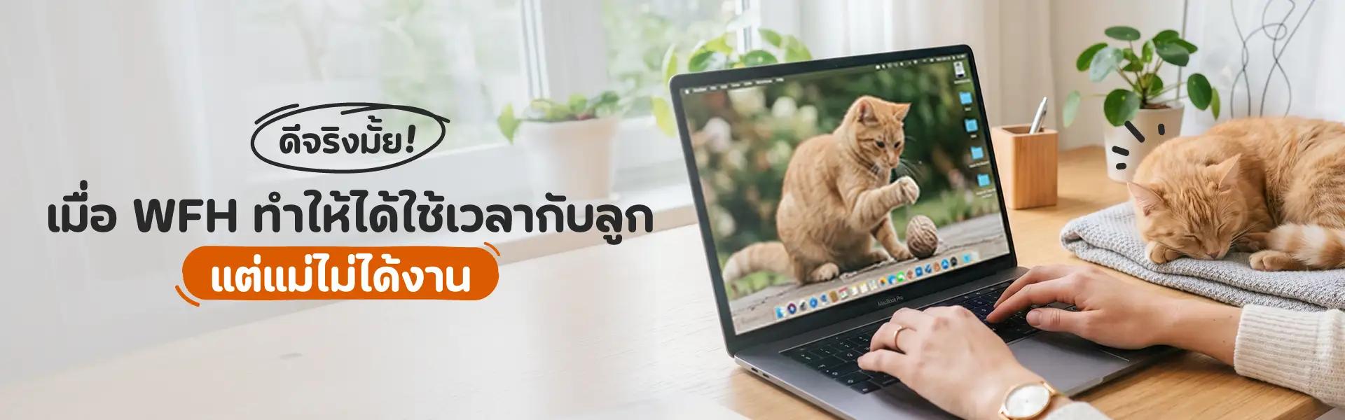 Article Banner