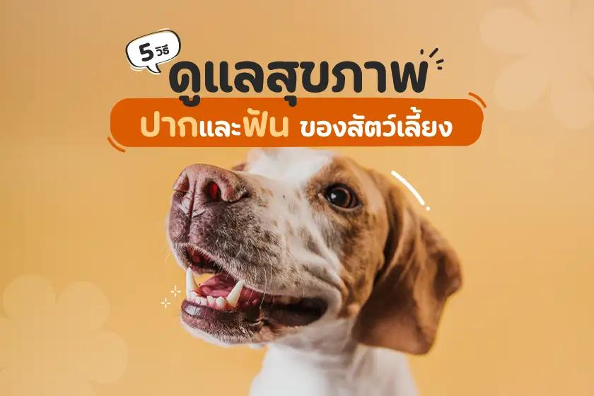 Article Banner