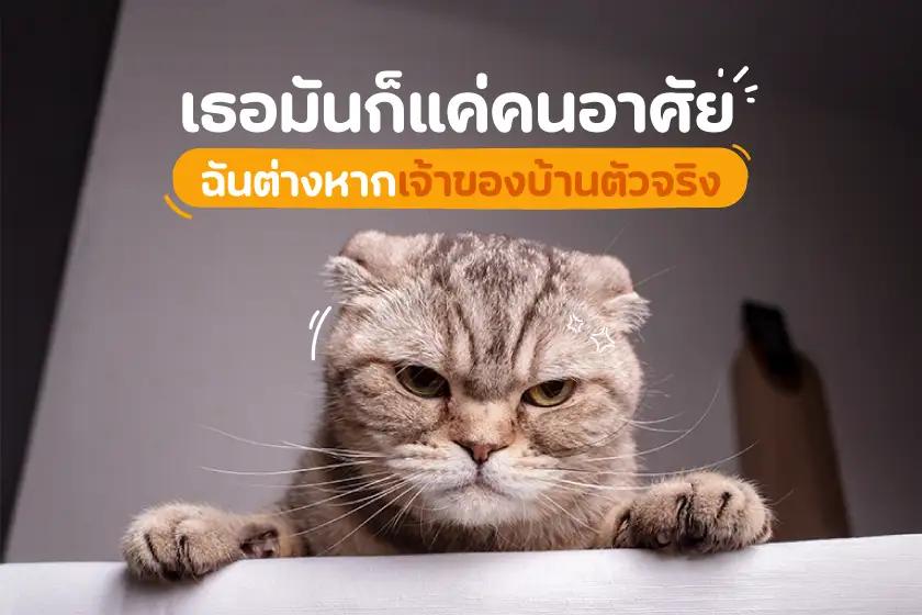 เธอมันก็แค่คนอาศัย ฉันต่างหากเจ้าของบ้านตัวจริง!
