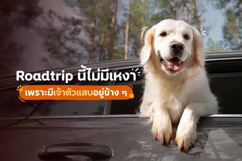 Roadtrip นี้ไม่มีเหงา  เพราะมีเจ้าตัวแสบอยู่ข้าง ๆ