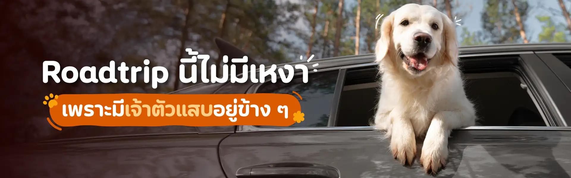 Article Banner