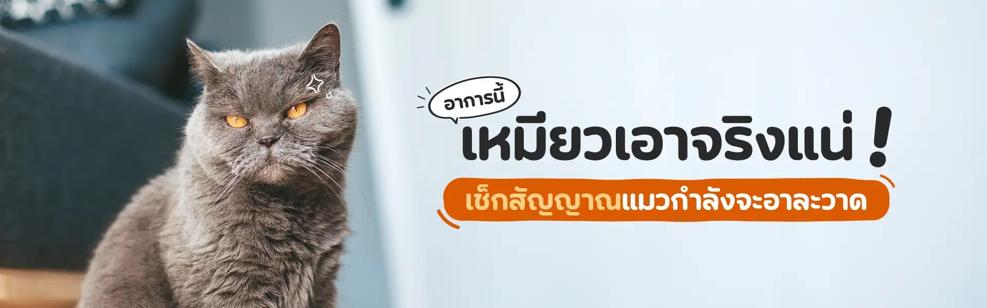 Article Banner