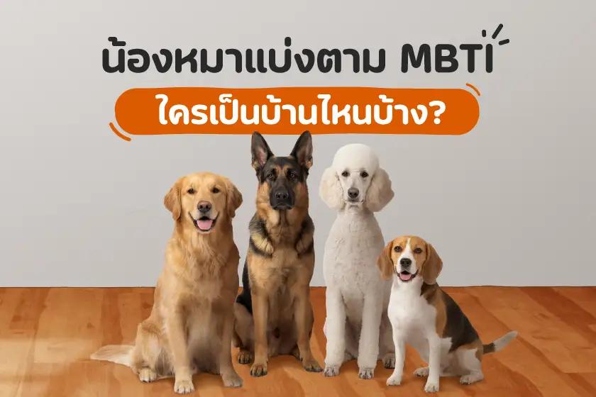 Article Banner