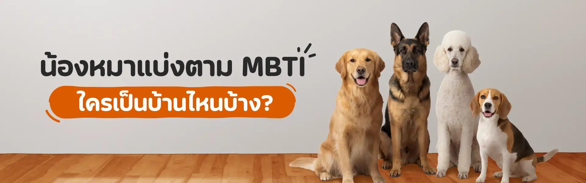 Article Banner