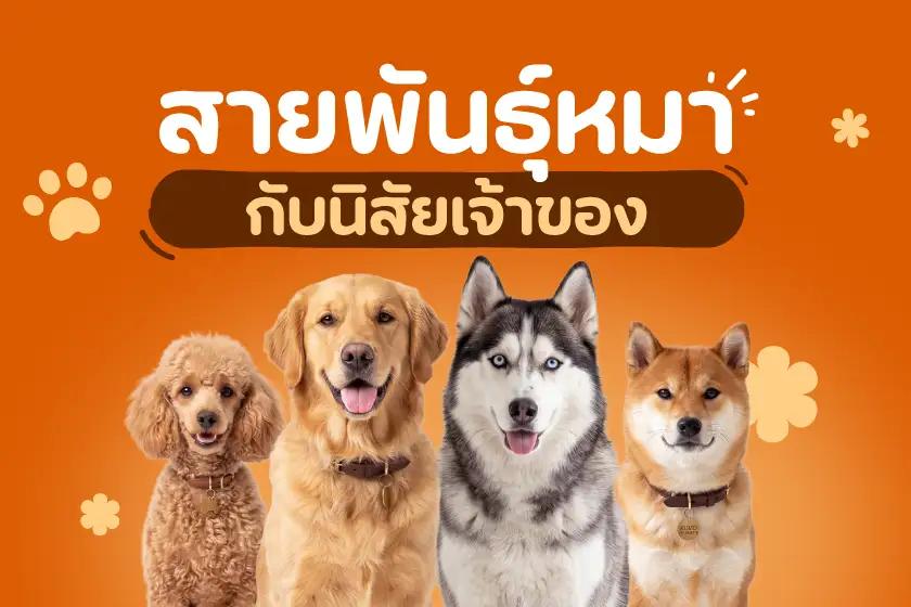 สายพันธุ์หมากับนิสัยเจ้าของ