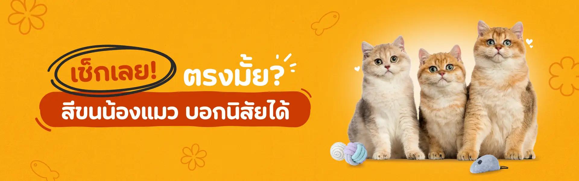 Article Banner