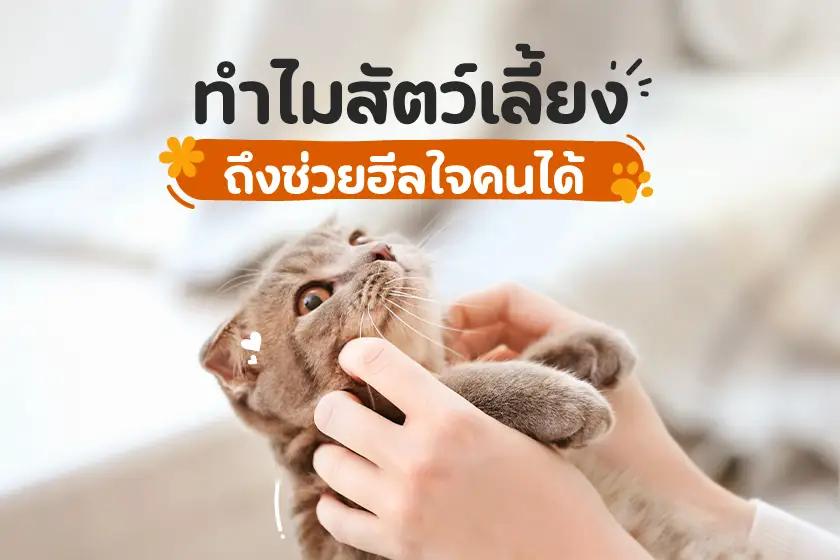 ทำไมสัตว์เลี้ยงถึงช่วยฮีลใจคนได้