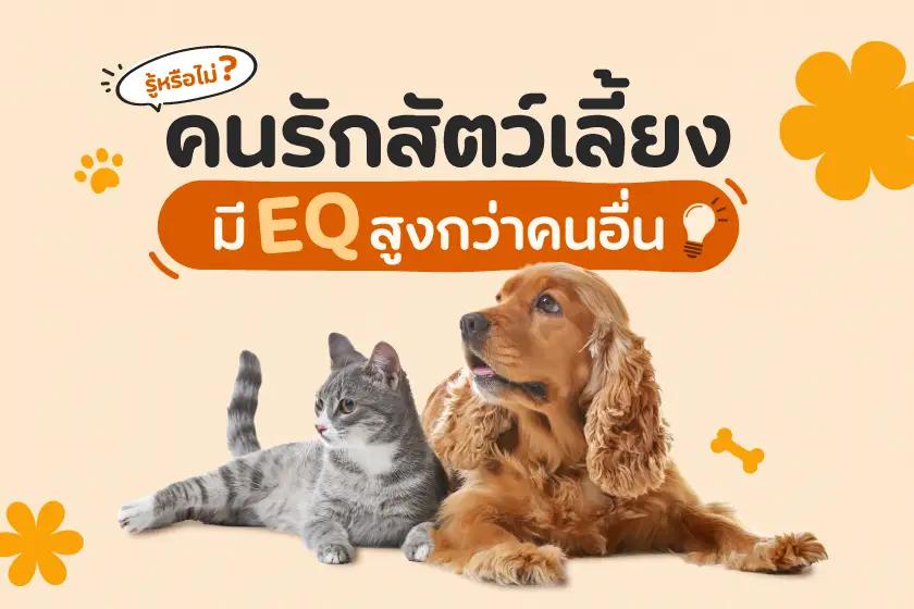 Article Banner