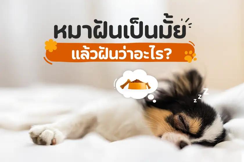 Article Banner