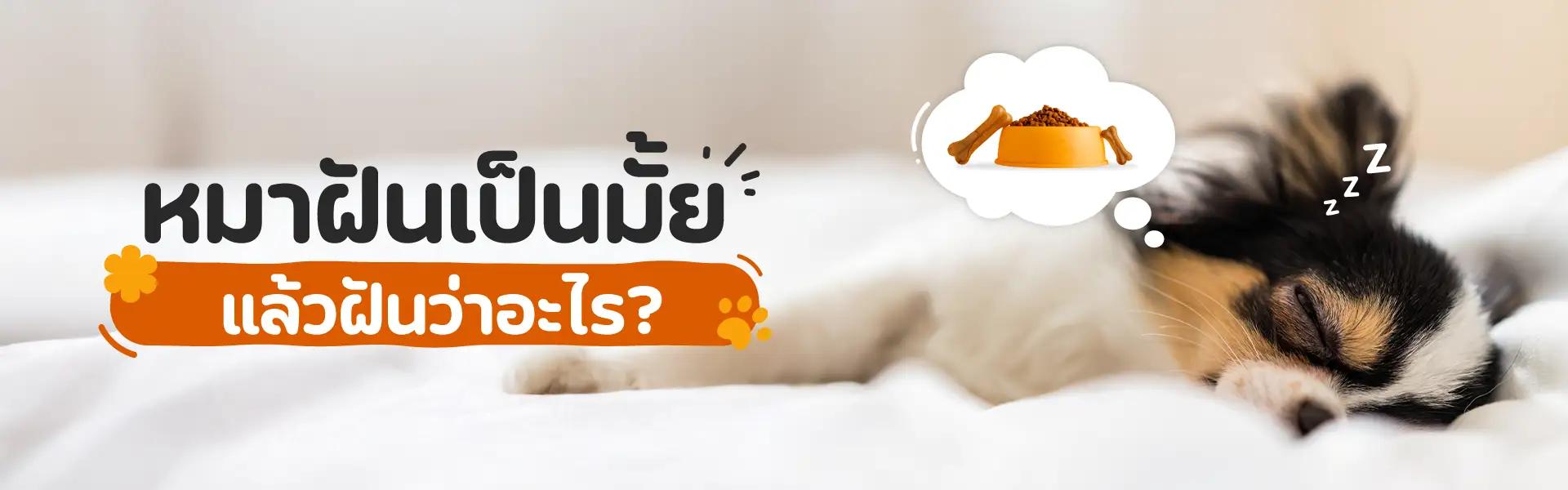 Article Banner