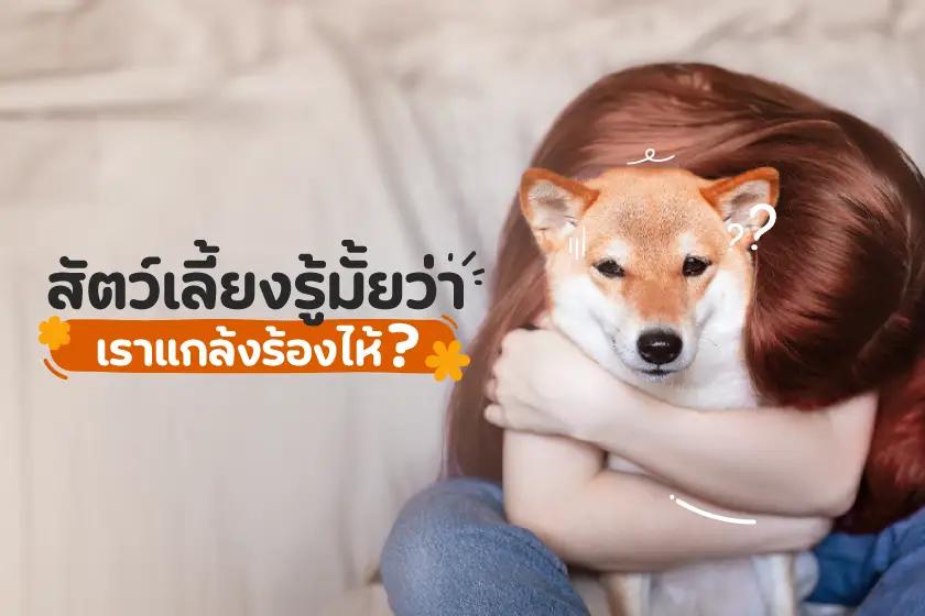 สัตว์เลี้ยงรู้มั้ยว่าเราแกล้งร้องไห้?
