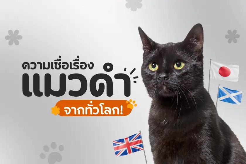 ความเชื่อเรื่องแมวดำจากทั่วโลก!