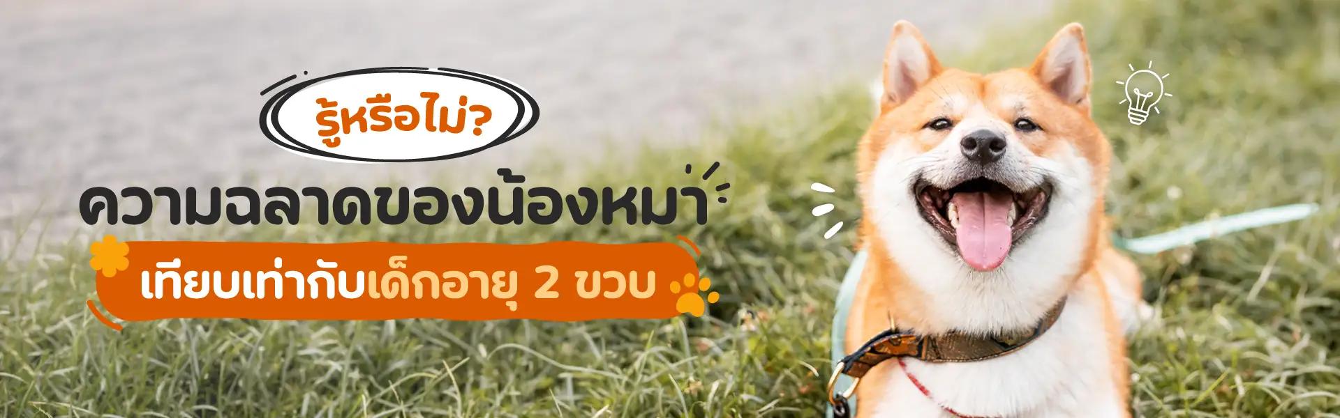 Article Banner