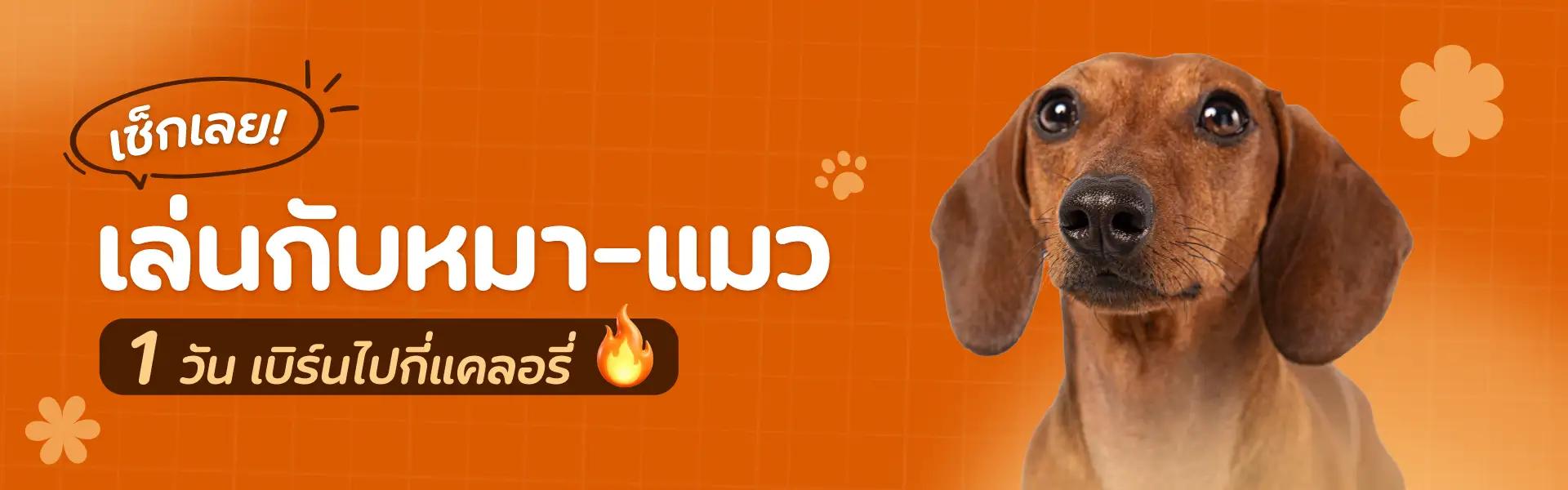 Article Banner