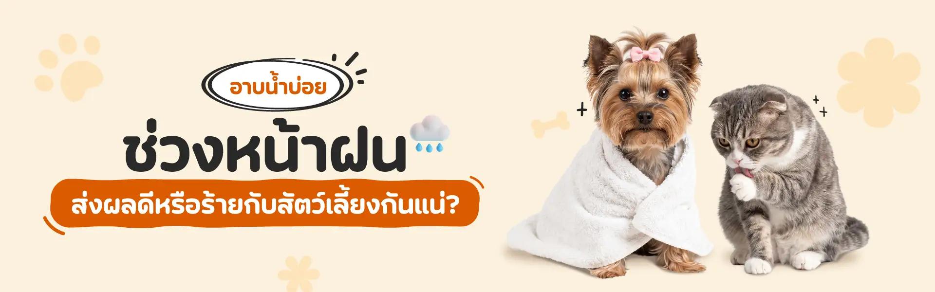Article Banner