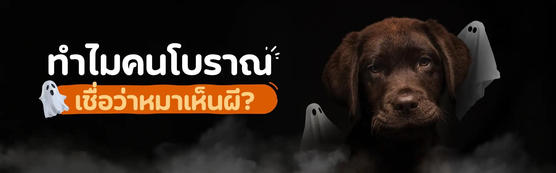 Article Banner