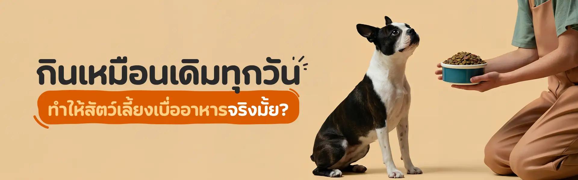 Article Banner