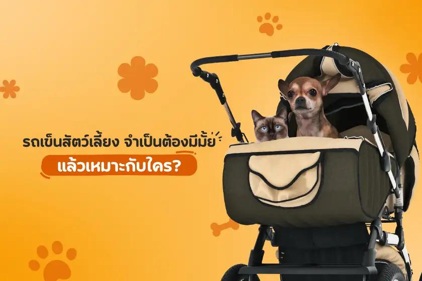 รถเข็นสัตว์เลี้ยงจำเป็นต้องมีมั้ย  แล้วเหมาะกับใคร?