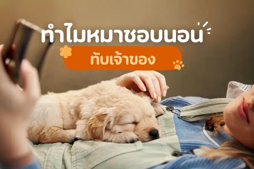 Article Banner