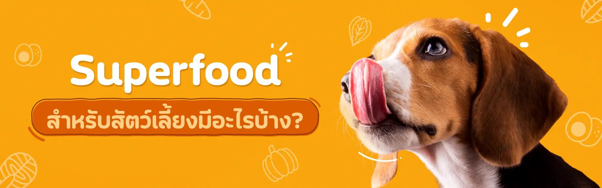 Article Banner