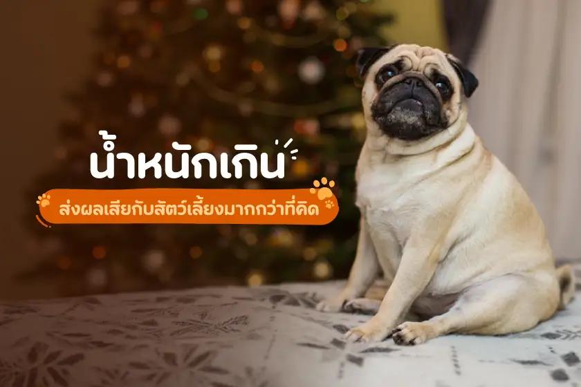 Article Banner