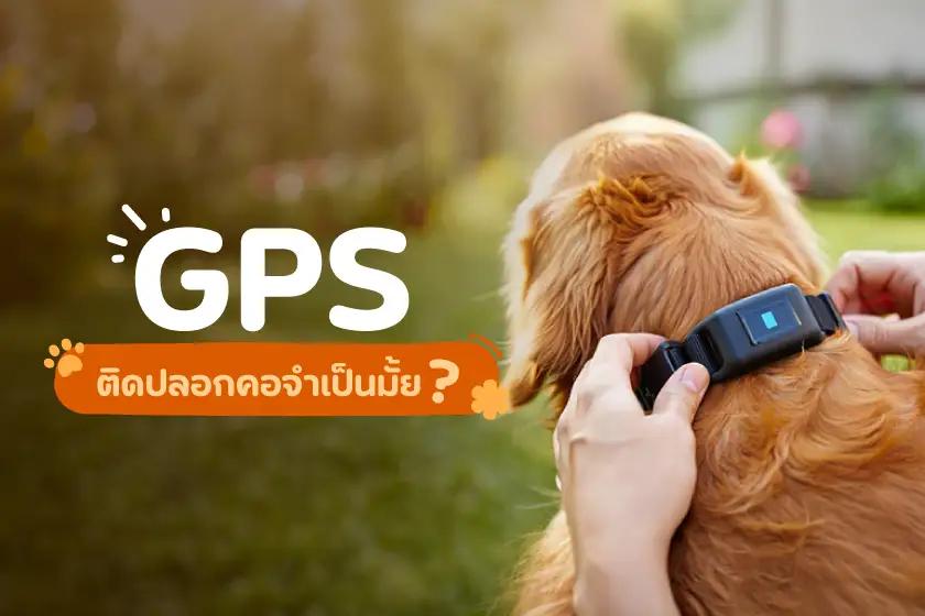 GPS ติดปลอกคอจำเป็นมั้ย?