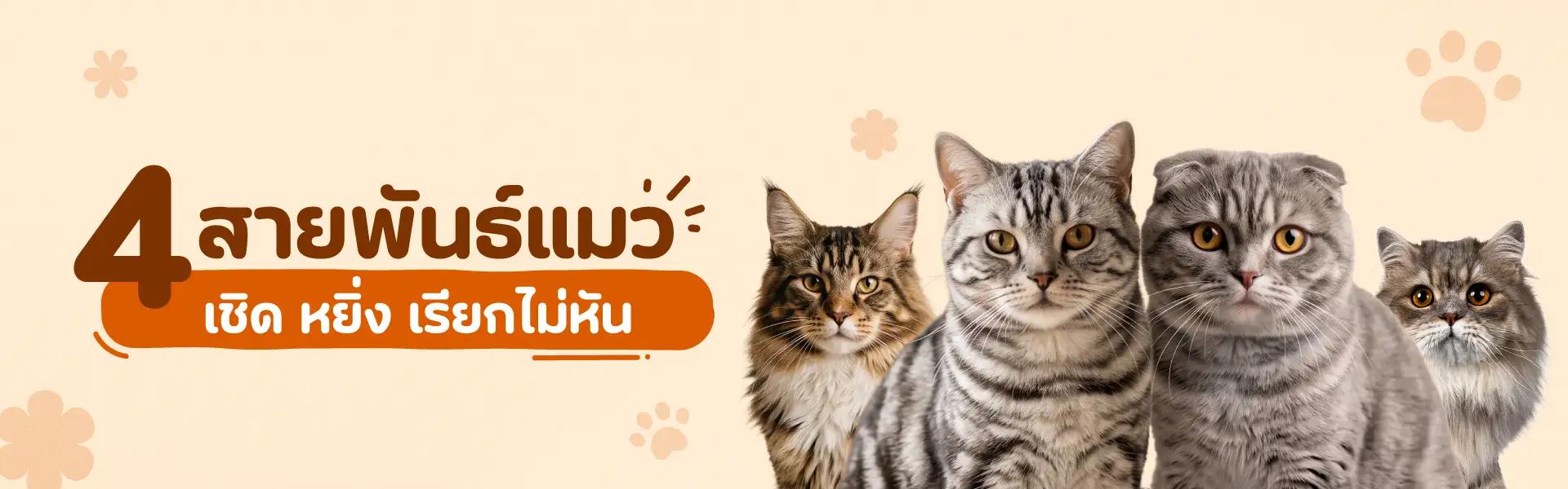 Article Banner
