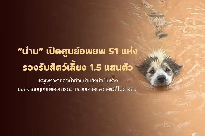 น่าน เปิดศูนย์อพยพ 51 แห่ง รองรับสัตว์เลี้ยง 1.5 แสนตัว