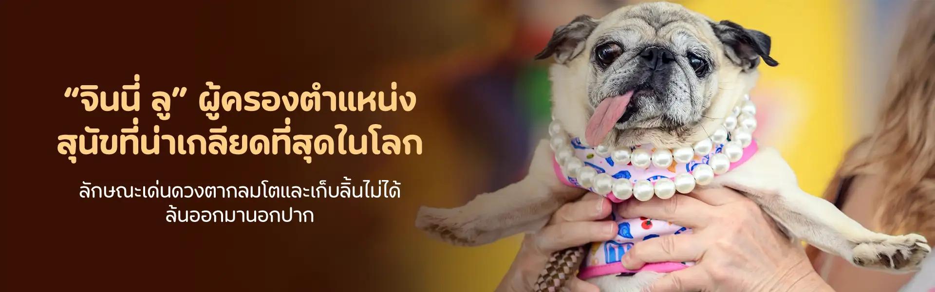 Article Banner
