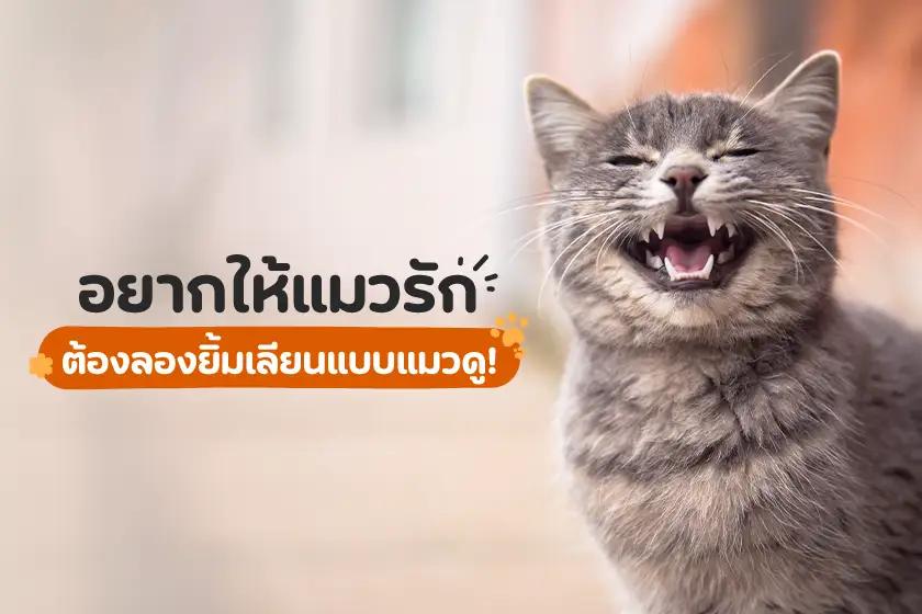 อยากให้แมวรัก ต้องลองยิ้มเลียนแบบแมวดู!