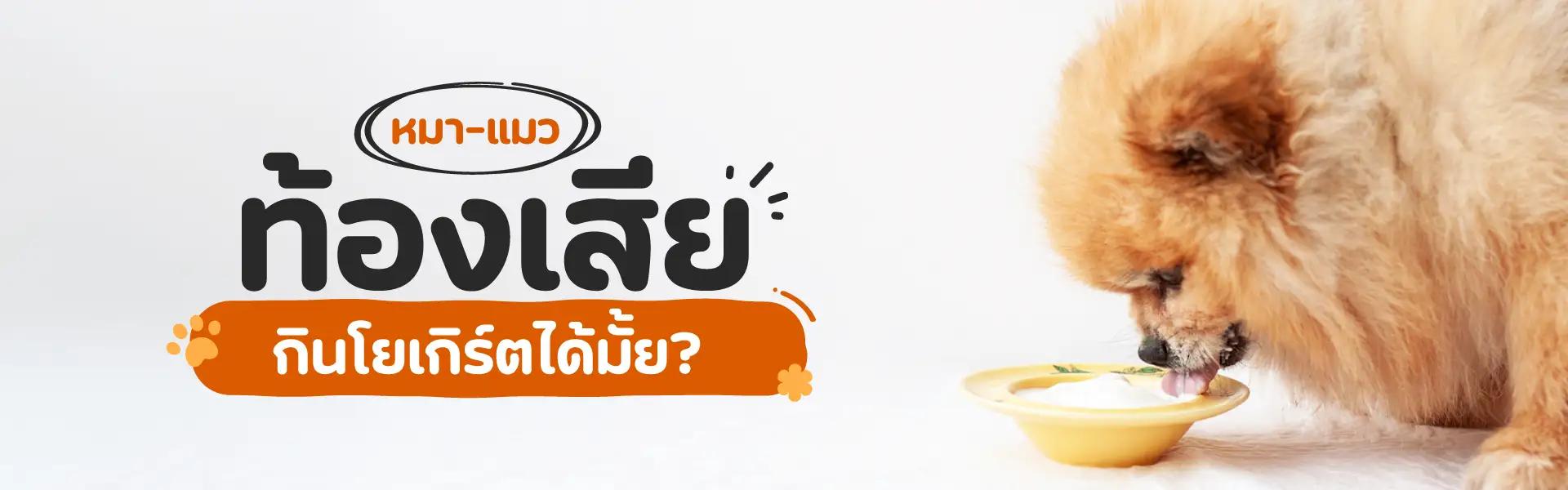 Article Banner