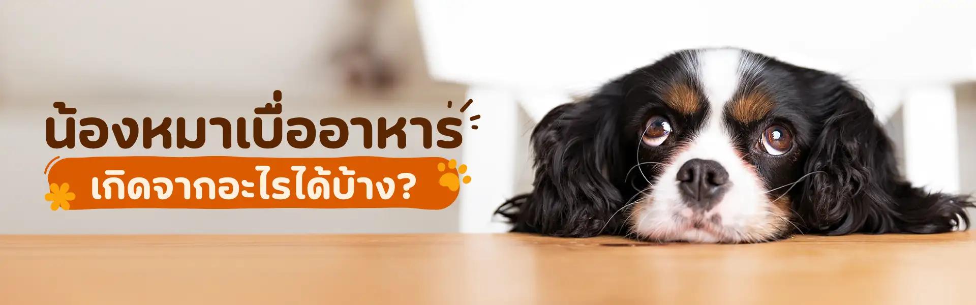 Article Banner