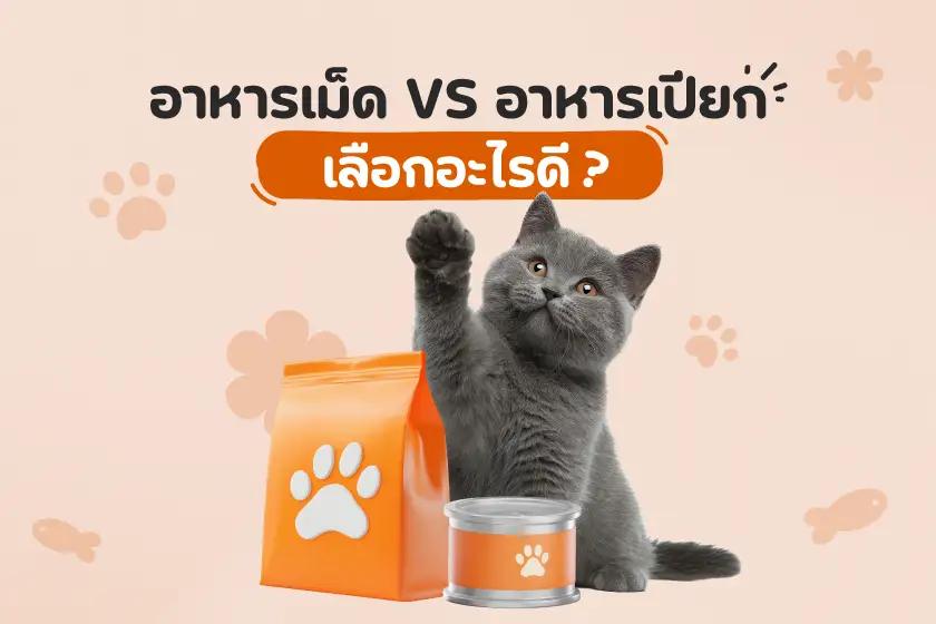 อาหารเม็ด VS อาหารเปียก เลือกอะไรดี?