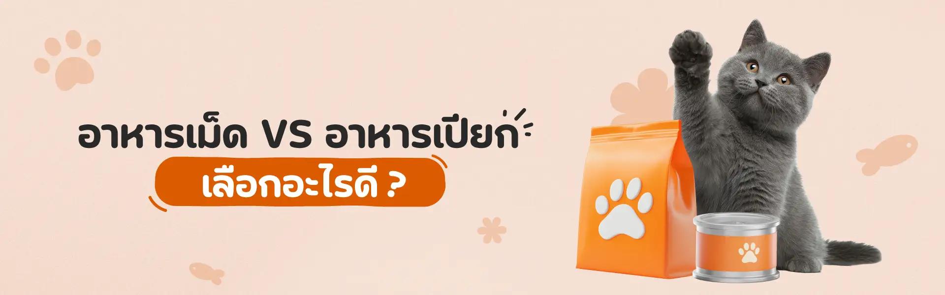 Article Banner