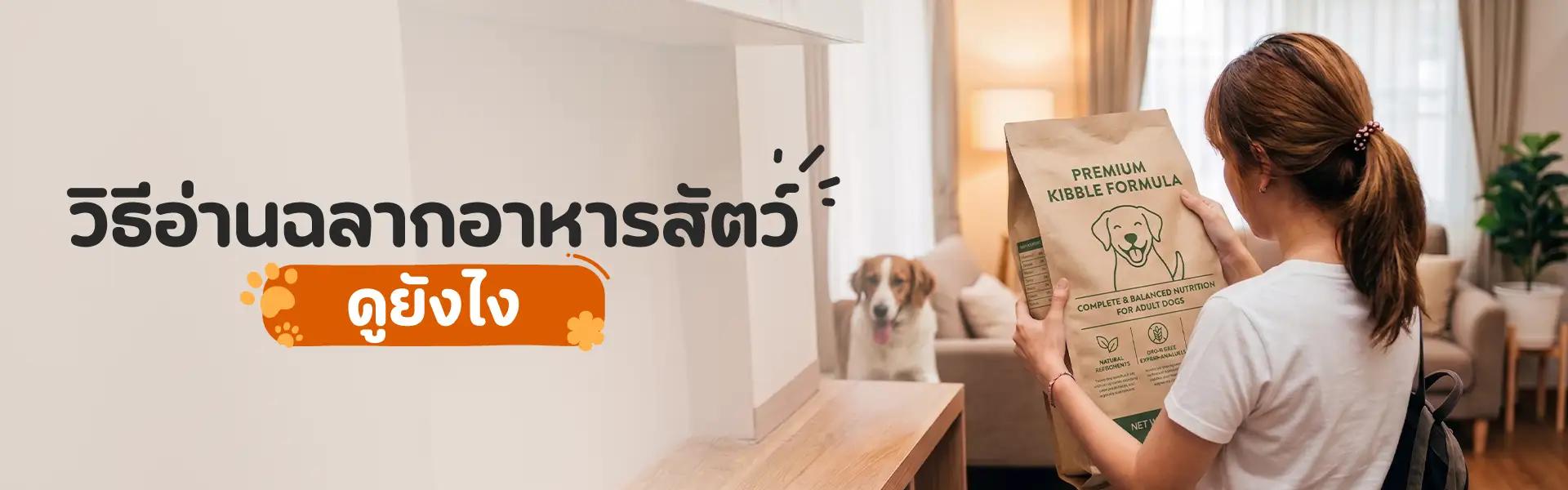 Article Banner