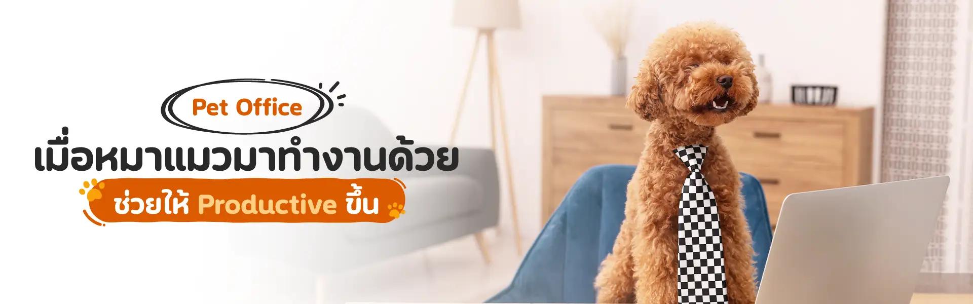 Article Banner