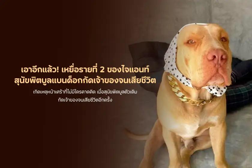 เอาอีกแล้ว! เหยื่อรายที่ 2 ของไจแอนท์ สุนัขพิตบูลแบนด็อกกัดเจ้าของจนเสียชีวิต