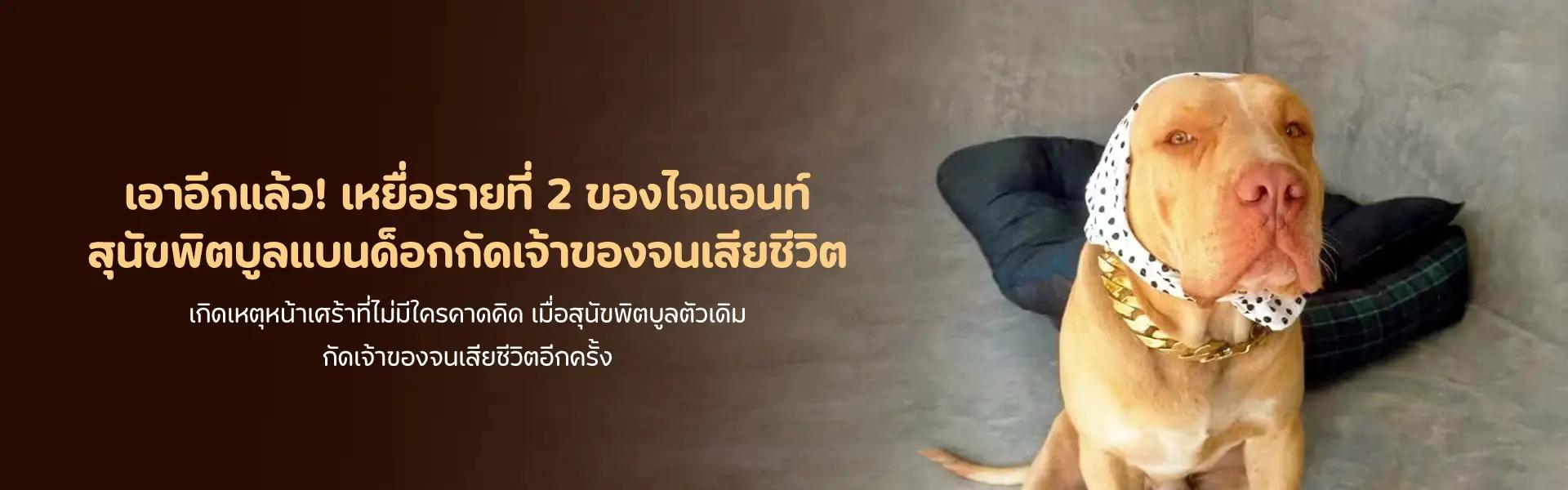 Article Banner
