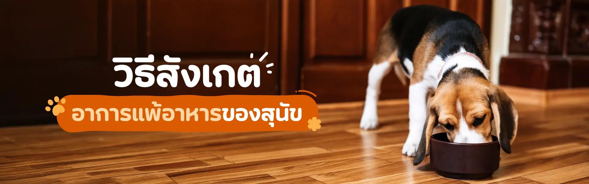 Article Banner