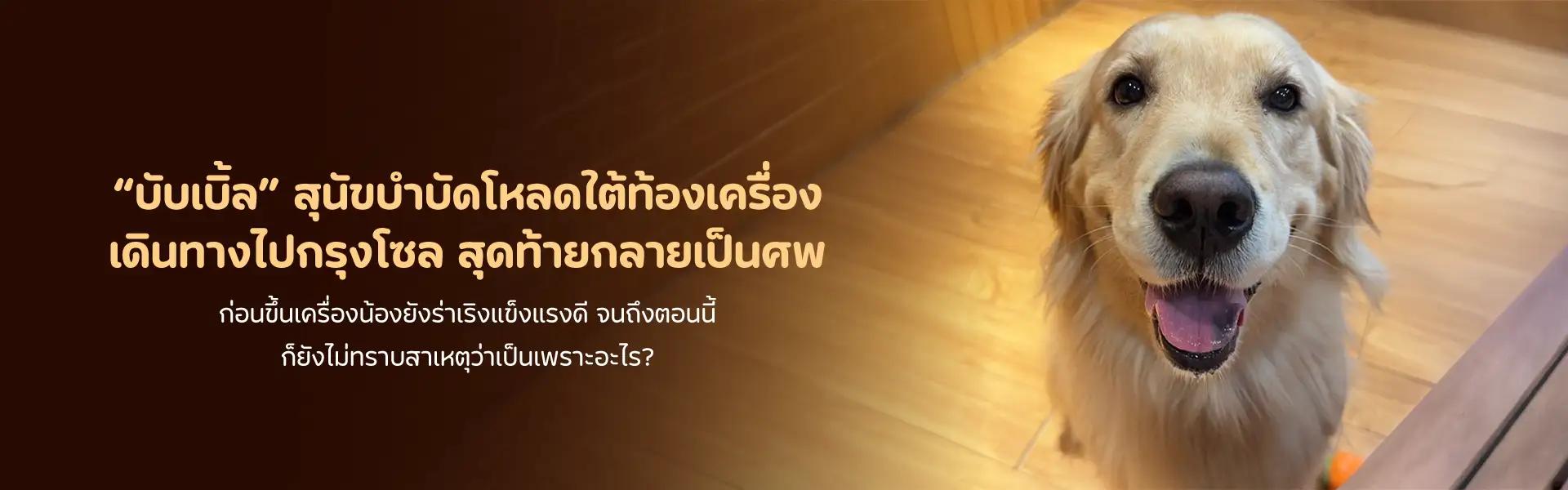Article Banner
