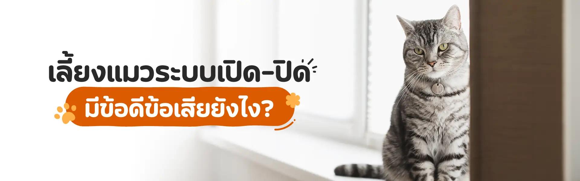 Article Banner