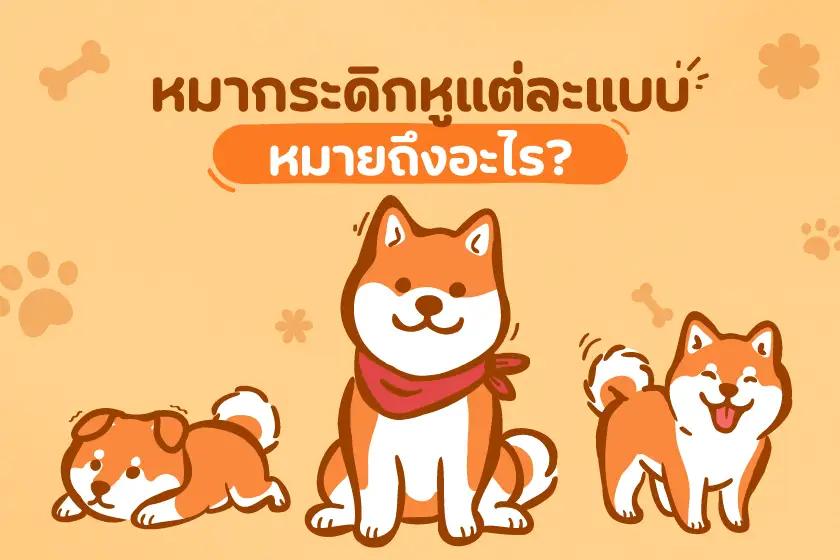 หมากระดิกหูแต่ละแบบ หมายถึงอะไร?
