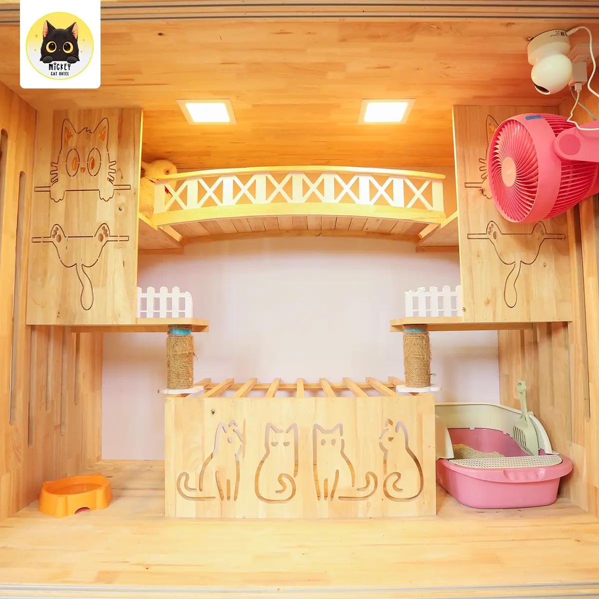 รับฝากแมวห้อง Size L