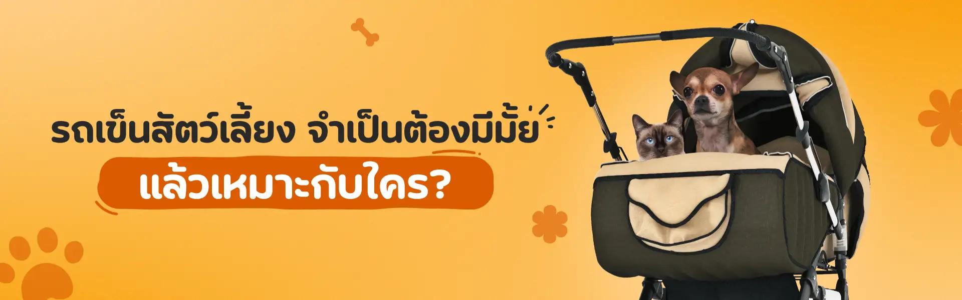 Article Banner