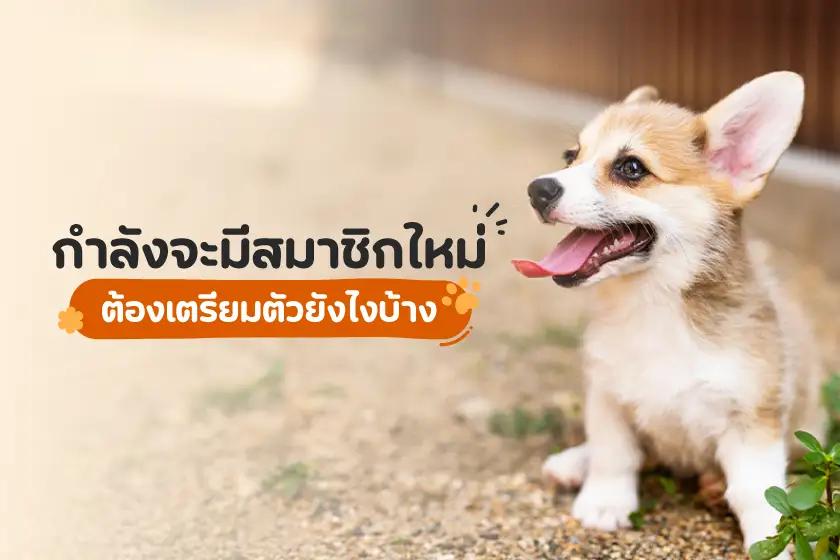 กำลังจะมีสมาชิกใหม่ ต้องเตรียมตัวยังไงบ้าง?