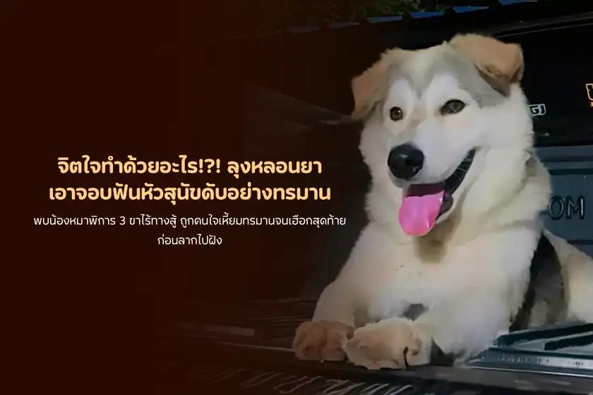 จิตใจทำด้วยอะไร!?! ลุงหลอนยา เอาจอบฟันหัวสุนัขดับอย่างทรมาน