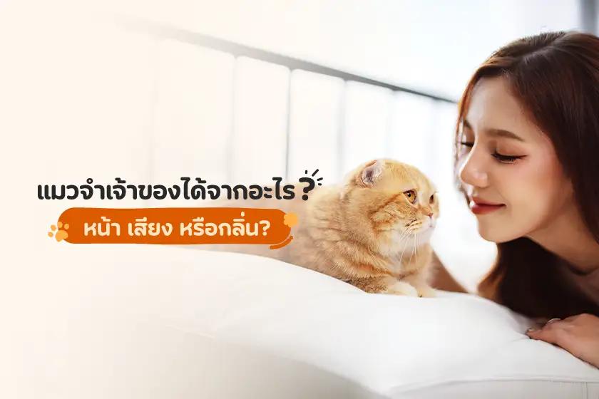 Article Banner