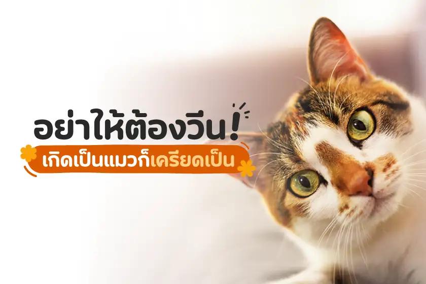 Article Banner