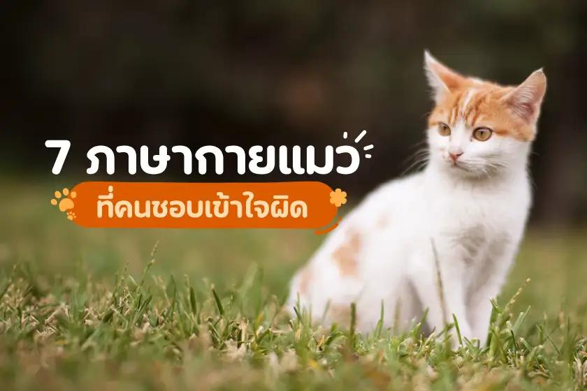 Article Banner