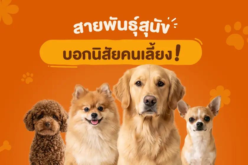 Article Banner